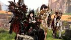 The Paladin is a half-DPS support class in Lost Ark