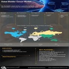 Bladder Cancer Market