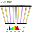 What do you think of the impact of LED grow lights on plants ? 