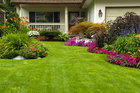 Perk Up Your Establishment with Enhanced Landscape Designer
