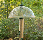 Some Pointers on Using Squirrel Baffles Properly