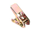 What Is The Central Structure Of The Ratchet Buckle?
