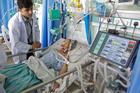 Sepsis Diagnostic Market To Witness Huge Growth by 2031