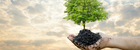 Protect and improve biodiversity performance by implementing IS