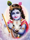 How to Download Free Radha Krishna Wallpapers