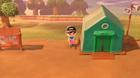While Nook Miles can be used to buy a variety of items