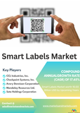 Smart Labels Market Unleashed: A Comprehensive Analysis of Grow