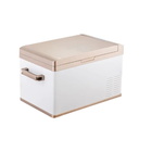 Mini Car Freezer/Freezer is the best refrigerator/freezer for t