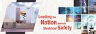 Manufacturer of Electrical Chemical Earthing System in India