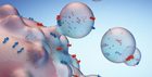 Buy FDA Approved Exosomes -MedGeneRx