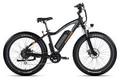2019 RadRover Electric Fat Bike
