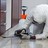 Pest Control  Perth